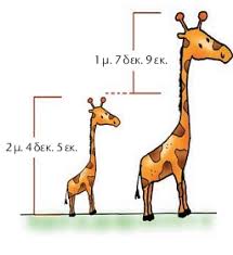 Εικόνα επιλογής